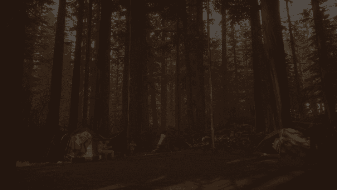 Life is Strange 2 background