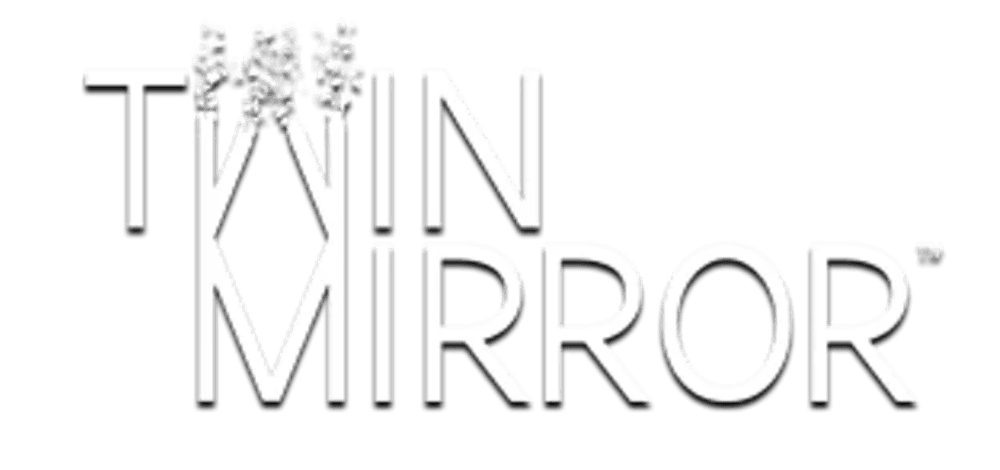 Twin Mirror