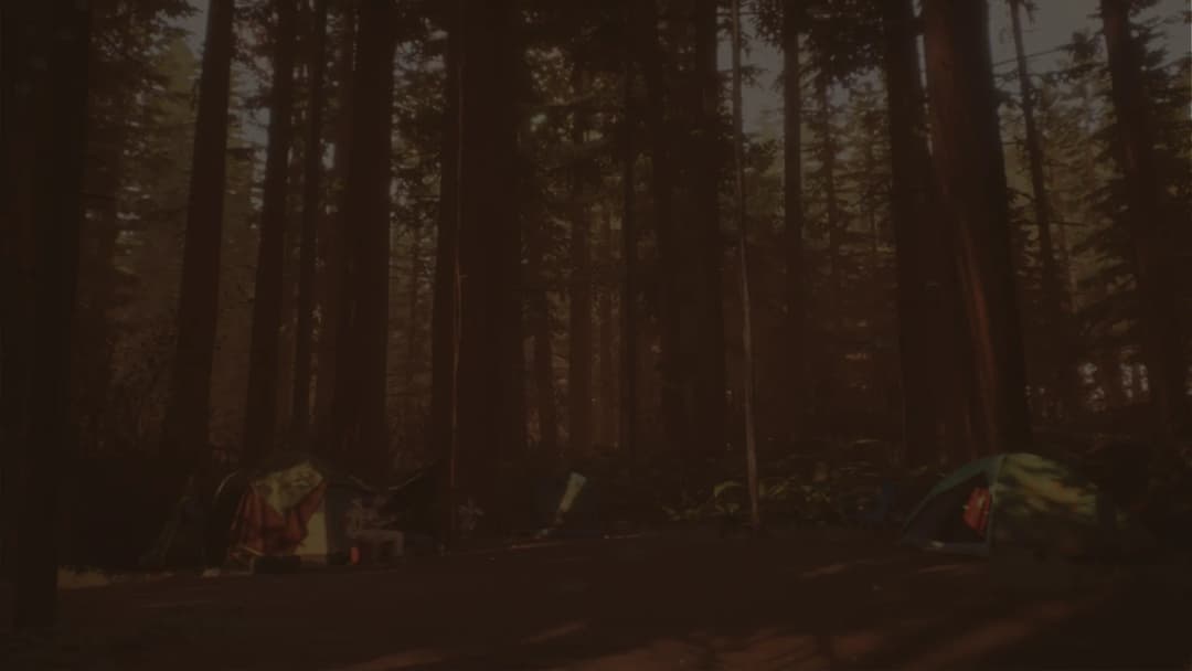 Life is Strange 2 background