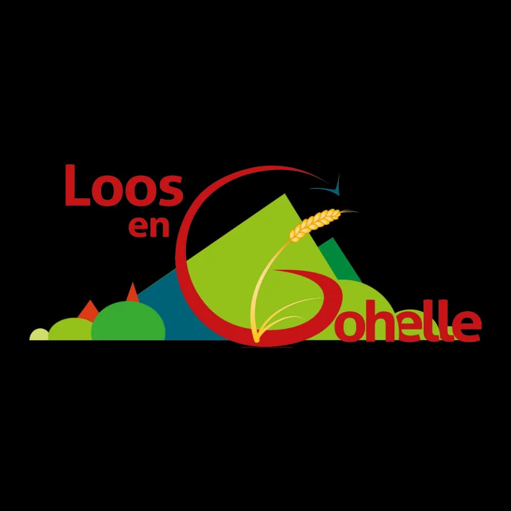 Ville de Loos en Gohelle